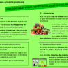 Conseils pratiques